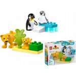 LEGO® DUPLO® 10442 Rodinky divokých zvířat: Tučňáci a lvi – Hledejceny.cz