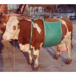 Zvedač krav Daisy Lifter – Hledejceny.cz