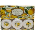 Saponificio Artigianale Fiorentino přírodní tuhé mýdlo Citrón 3 x 100 g – Zboží Dáma