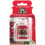 Yankee Candle Red Raspberry papírová visačka – Hledejceny.cz