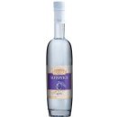 Fleret Tradice Slivovice 40% 1 l (holá láhev)