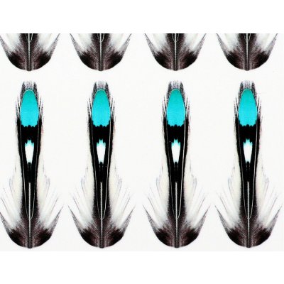 Sybai Umělé Peří Jungle Cock Substitute Natural 10 mm – Hledejceny.cz
