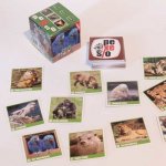 Pexeso: PSI v krabičce – Zboží Živě