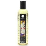 Shunga Desire Vanilla 250ml – Zboží Mobilmania