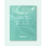 Mizon Cicaluronic Water Fit Mask 24 g – Zboží Dáma
