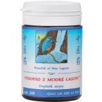 TCM Herbs Vodopád z modré laguny 100 tablet – Hledejceny.cz