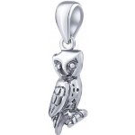 SILVEGO Stříbrný přívěsek sovaB10665ZT – Zboží Dáma