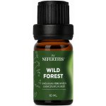 By Nefertitis směs 100% esenciálních olejů WILD FOREST 10 ml – Hledejceny.cz