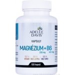Adelle Davis Magnézium 200 mg + B6 40 mg 100 kapslí – Hledejceny.cz