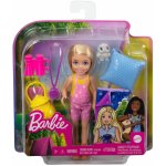 Barbie Dreamhouse Adventures Kempující Chelsea – Hledejceny.cz