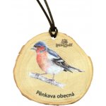 Lesní svět Dřevěná medaile letokruh pěnkava – Zboží Dáma