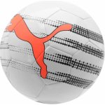 Puma KA Big Cat – Sleviste.cz