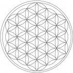 Pískohraní s.r.o. Šablona Mandala Květ života Velikost: 420 x 420 mm – Hledejceny.cz