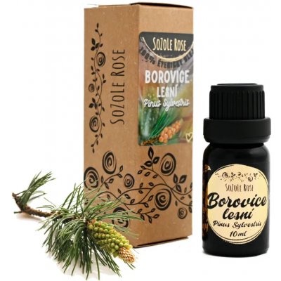 SoZoLe Rose Éterický olej Borovice lesní 10 ml – Hledejceny.cz