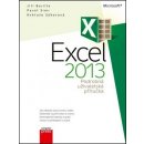 Microsoft Excel 2013 Podrobná uživatelská příručka