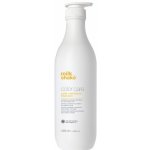 Milk Shake Color Maintainer Shampoo 1000 ml – Zboží Mobilmania