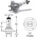 Qlux H7 PX26d 12V 55W | Zboží Auto