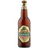 Pivo Radegast 12 RYZE Hořká 5,1% 0,5 l (sklo)