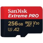 SanDisk SDXC Class 10 256 GB SDSQXCZ-256G-GN6MA – Hledejceny.cz