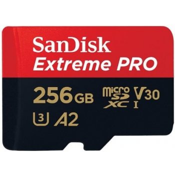 SanDisk SDXC Class 10 256 GB SDSQXCZ-256G-GN6MA