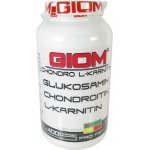 GIOM ERA Chondro L-karnitin 400 g – Hledejceny.cz