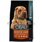 Cibau Dog Adult Sensitive Lamb & Rice 2,5 kg – Hledejceny.cz