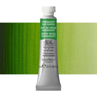 Winsor & Newton Professional Akvarelová barva 5ml Permanent Sap Green – Zboží Dáma