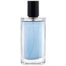 Davidoff Cool Water Parfum parfém pánský 50 ml