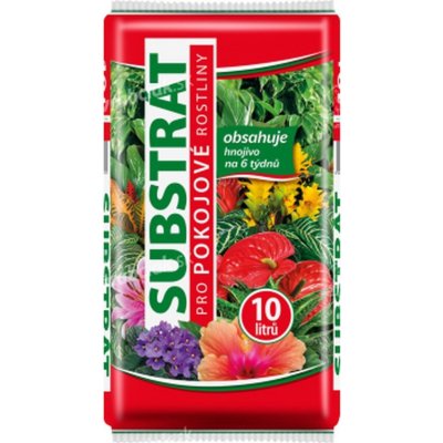 Forestina Standard Pokojové rostliny 10 l – Zboží Dáma