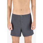 Bambusové volné trenky ecobamboo světle modré 75194P – Zboží Mobilmania