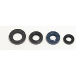ATHENA sada gufer motoru HONDA CRF 230F '03-'19, CRF 150F '03-'05 – Hledejceny.cz