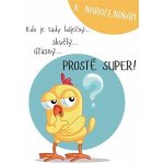 Albi Hrací přání k narozeninám - Prostě super – Hledejceny.cz