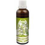 Naděje Chlamysan výtažek z bylin 50 ml – Hledejceny.cz