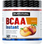Survival BCAA Instant 300 g – Hledejceny.cz