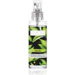 Ryor Osvěžující mlha s vůní zeleného čaje Matcha 100 ml – Hledejceny.cz