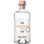 Garage 22 Habanero Gin Smoked Edition 42% 0,5 l (holá láhev) – Zboží Mobilmania