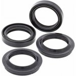 ALL BALLS sada gufera a prachovky do vidlic BMW, BUELL, HONDA, SUZUKI (41x54x11)