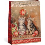 ARGUS Dárková papírová taška (31 x 41.5 cm) 08840088 – Zboží Živě