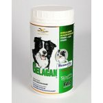 Orling Gelacan Fast 150 g – Hledejceny.cz