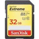 paměťová karta sanDisk SDHC UHS-I U3 32 GB SDSDXVT-032G-GNCIN