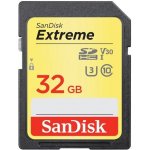 sanDisk SDHC UHS-I U3 32 GB SDSDXVT-032G-GNCIN – Zboží Živě