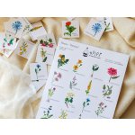 ePipí Pexeso Bylinky – Sleviste.cz