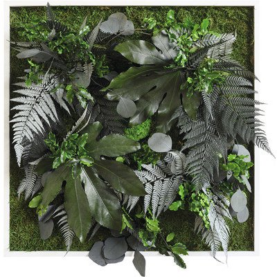 Obraz z rostlin styleGREEN Džungle 55x55 cm – Zbozi.Blesk.cz
