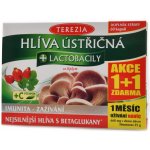 Terezia Company Hlíva ústřičná s lactobacily 120 tablet – Hledejceny.cz