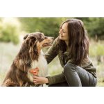 FURminator hrablo Short Hair pro psy S – Zbozi.Blesk.cz