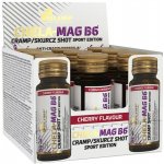 Olimp Labs Chela Mag B6+D3 Forte shot třešeň 25 ml – Hledejceny.cz