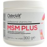 Ostrovit MSM plus 300 g – Hledejceny.cz
