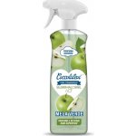 Coccolatevi Bloomalcohol dezinfekční univerzální čistič Mela Verde 750 ml – Zboží Dáma