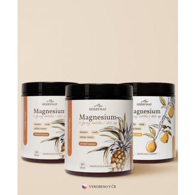 Herbs Energy Magnesium Drink Ananas 2 x 30 dávek + Magnesium Drink Citron 30 dávek – Hledejceny.cz