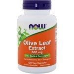 Now Foods Foods Olive Leaf Extract 500 mg 120 kapslí – Hledejceny.cz